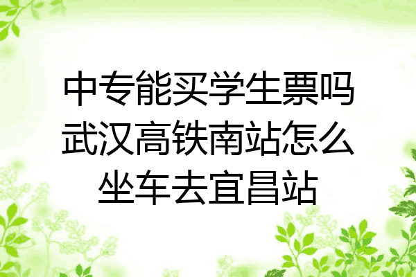 中专能买学生票吗武汉高铁南站怎么坐车去宜昌站