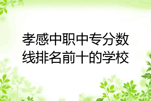 孝感中职中专分数线排名前十的学校