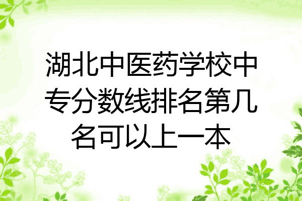 湖北中医药学校中专分数线排名第几名可以上一本