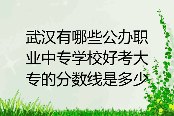 武汉有哪些公办职业中专学校好考大专的分数线是多少
