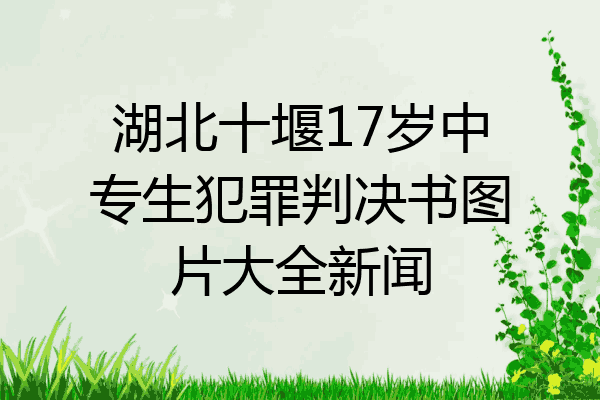 湖北十堰17岁中专生犯罪判决书图片大全新闻