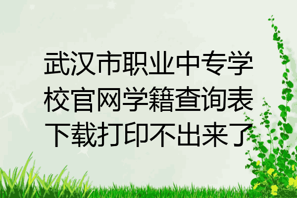 武汉市职业中专学校官网学籍查询表下载打印不出来了