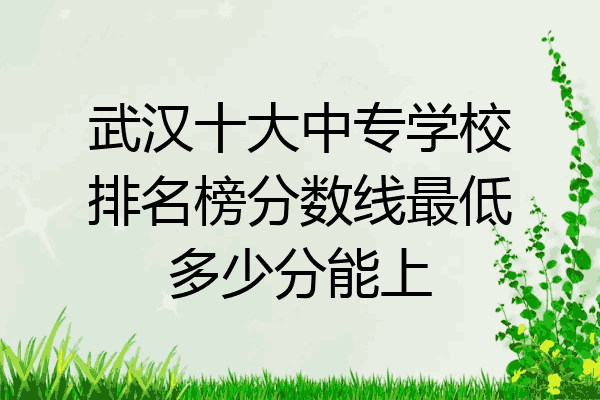 武汉十大中专学校排名榜分数线最低多少分能上