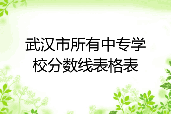 武汉市所有中专学校分数线表格表