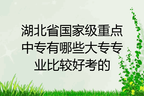 湖北省国家级重点中专有哪些大专专业比较好考的