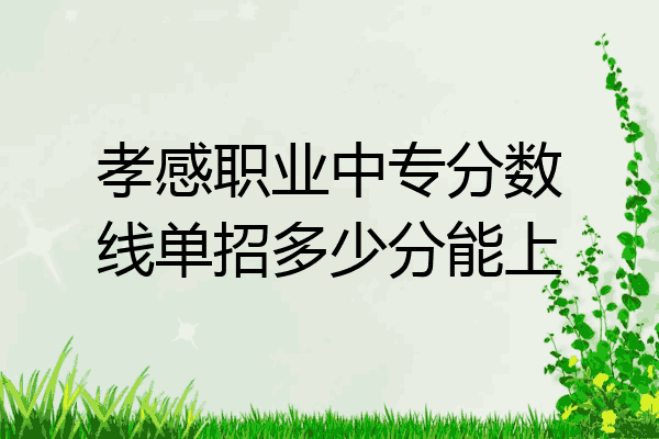孝感职业中专分数线单招多少分能上
