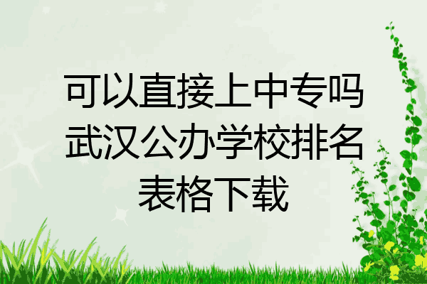 可以直接上中专吗武汉公办学校排名表格下载