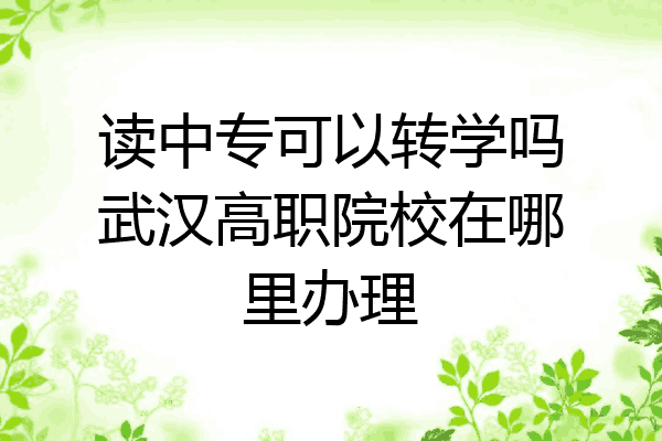 读中专可以转学吗武汉高职院校在哪里办理