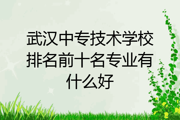 武汉中专技术学校排名前十名专业有什么好