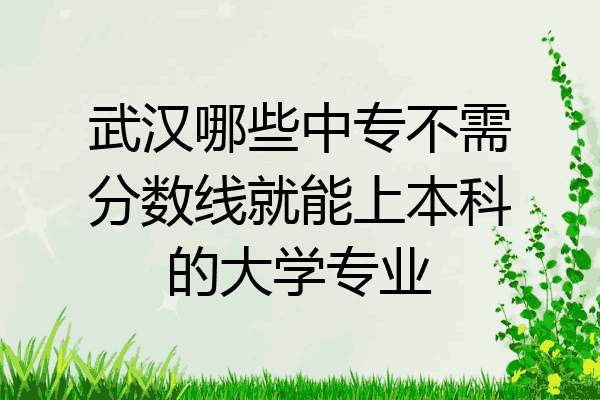 武汉哪些中专不需分数线就能上本科的大学专业