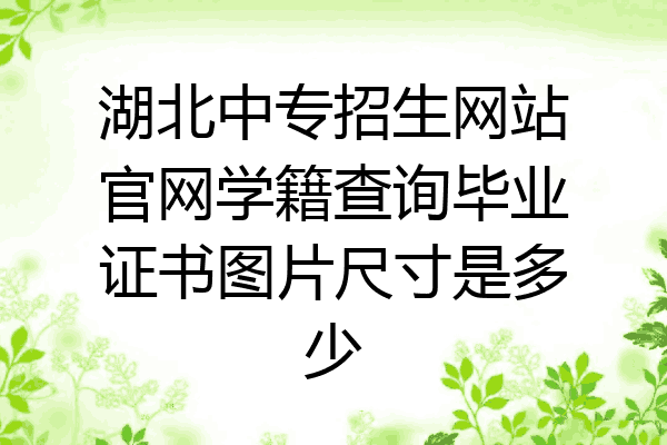 湖北中专招生网站官网学籍查询毕业证书图片尺寸是多少
