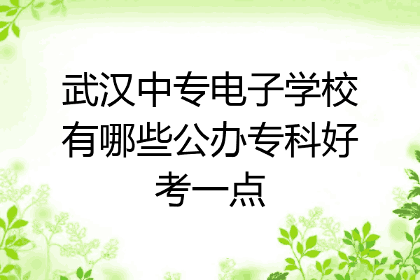 武汉中专电子学校有哪些公办专科好考一点