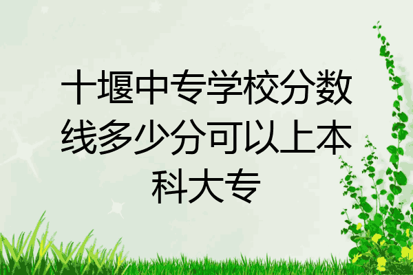 十堰中专学校分数线多少分可以上本科大专