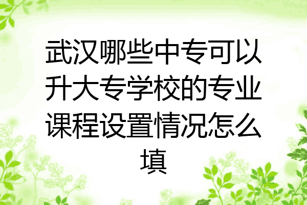武汉哪些中专可以升大专学校的专业课程设置情况怎么填