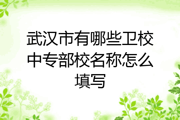 武汉市有哪些卫校中专部校名称怎么填写