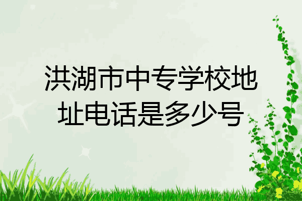 洪湖市中专学校地址电话是多少号