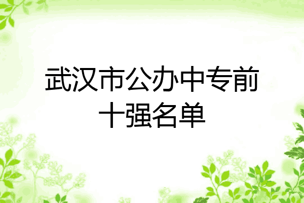 武汉市公办中专前十强名单