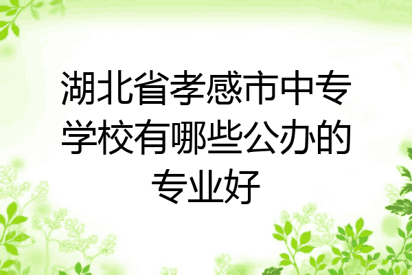 湖北省孝感市中专学校有哪些公办的专业好