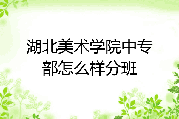 湖北美术学院中专部怎么样分班