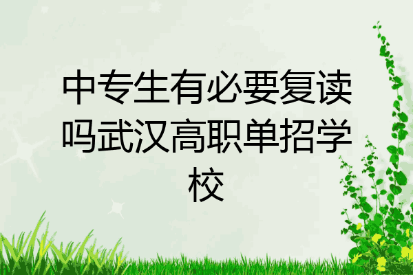 中专生有必要复读吗武汉高职单招学校