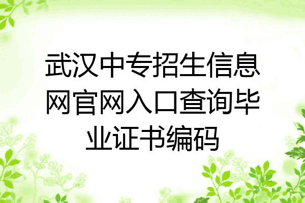 武汉中专招生信息网官网入口查询毕业证书编码