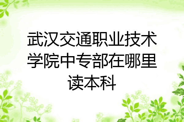 武汉交通职业技术学院中专部在哪里读本科