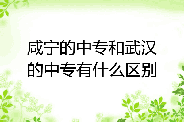 咸宁的中专和武汉的中专有什么区别