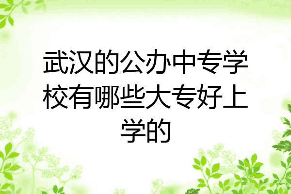 武汉的公办中专学校有哪些大专好上学的