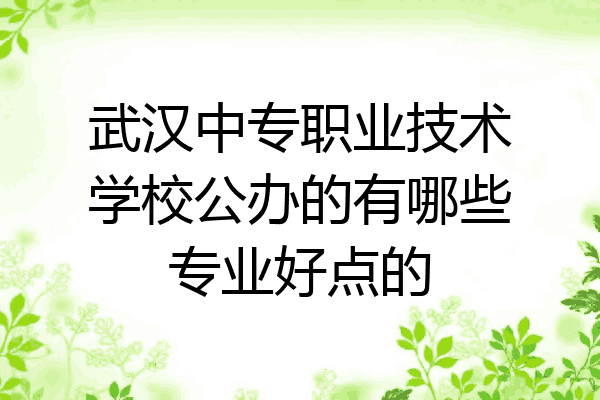 武汉中专职业技术学校公办的有哪些专业好点的