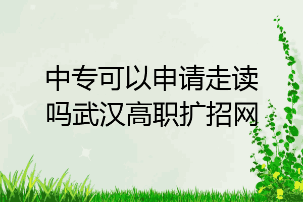 中专可以申请走读吗武汉高职扩招网