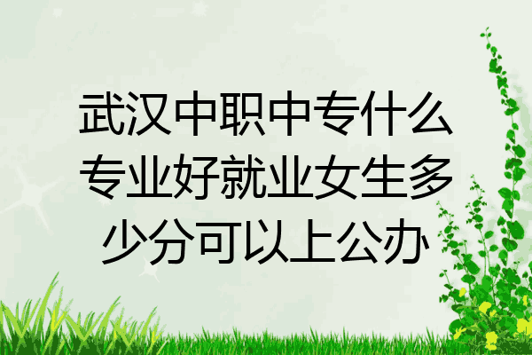 武汉中职中专什么专业好就业女生多少分可以上公办