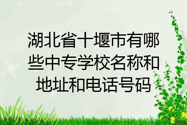 湖北省十堰市有哪些中专学校名称和地址和电话号码