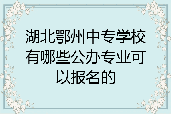 湖北鄂州中专学校有哪些公办专业可以报名的