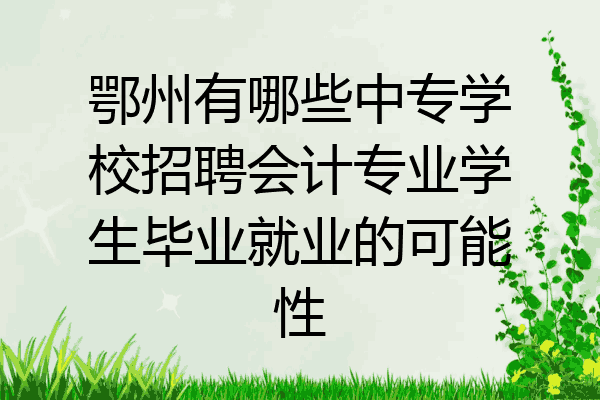 鄂州有哪些中专学校招聘会计专业学生毕业就业的可能性