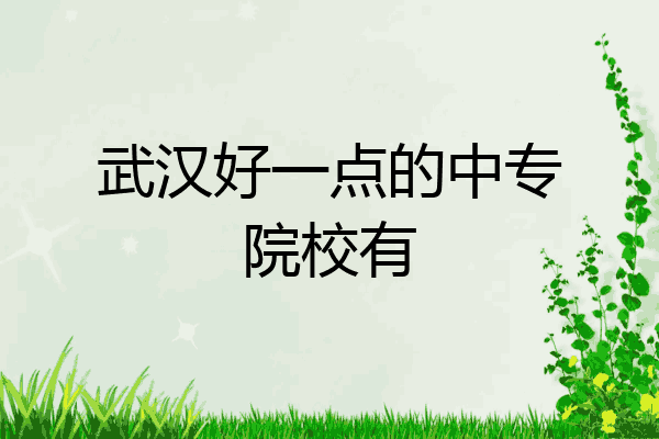 武汉好一点的中专院校有