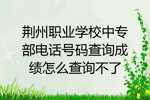 荆州职业学校中专部电话号码查询成绩怎么查询不了