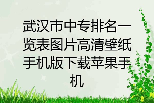 武汉市中专排名一览表图片高清壁纸手机版下载苹果手机