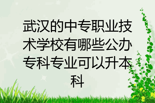 武汉的中专职业技术学校有哪些公办专科专业可以升本科