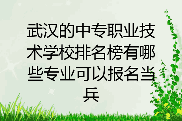 武汉的中专职业技术学校排名榜有哪些专业可以报名当兵