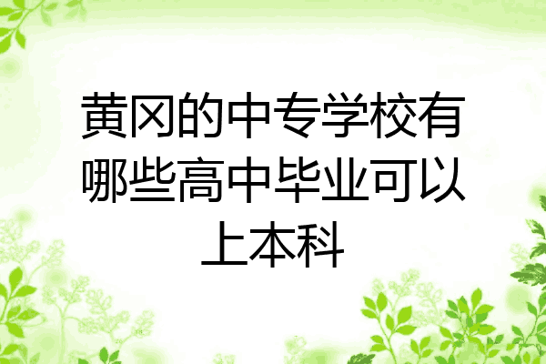 黄冈的中专学校有哪些高中毕业可以上本科