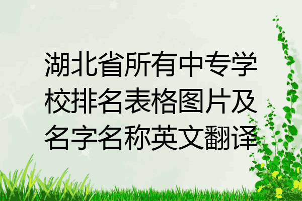 湖北省所有中专学校排名表格图片及名字名称英文翻译