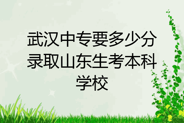 武汉中专要多少分录取山东生考本科学校