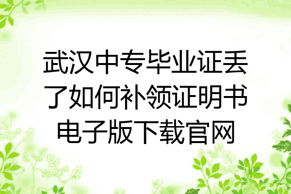 武汉中专毕业证丢了如何补领证明书电子版下载官网