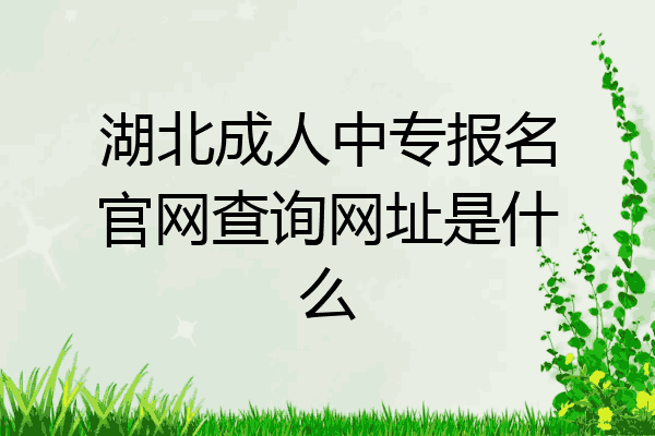 湖北成人中专报名官网查询网址是什么