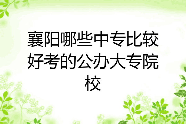 襄阳哪些中专比较好考的公办大专院校
