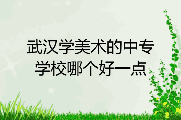 武汉学美术的中专学校哪个好一点