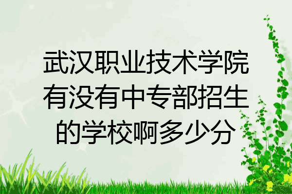 武汉职业技术学院有没有中专部招生的学校啊多少分