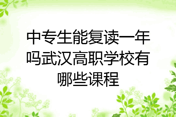 中专生能复读一年吗武汉高职学校有哪些课程