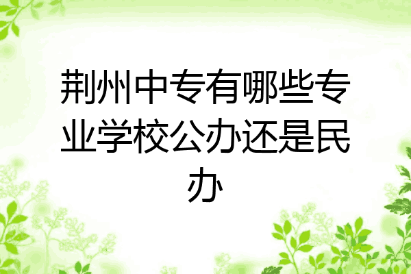 荆州中专有哪些专业学校公办还是民办