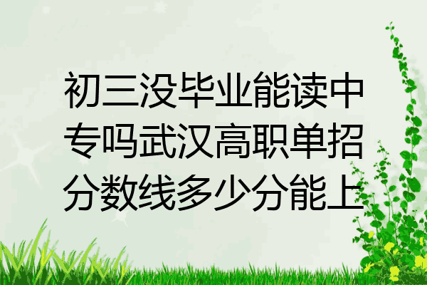 初三没毕业能读中专吗武汉高职单招分数线多少分能上